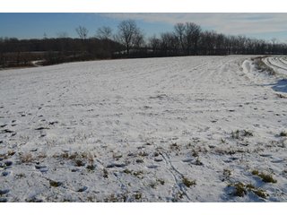 54.7 Acres with 50 tillable and 4.3 wooded.  Surrounded by heavy deer population on CRP land.  Great trophy deer hunting on established food plots.  Hunting tower.

Receive income on tillable acres while abundance of deer hunting on established food plot. - Great Investment Opportunity - Tillable Land, Recreation & Building Site